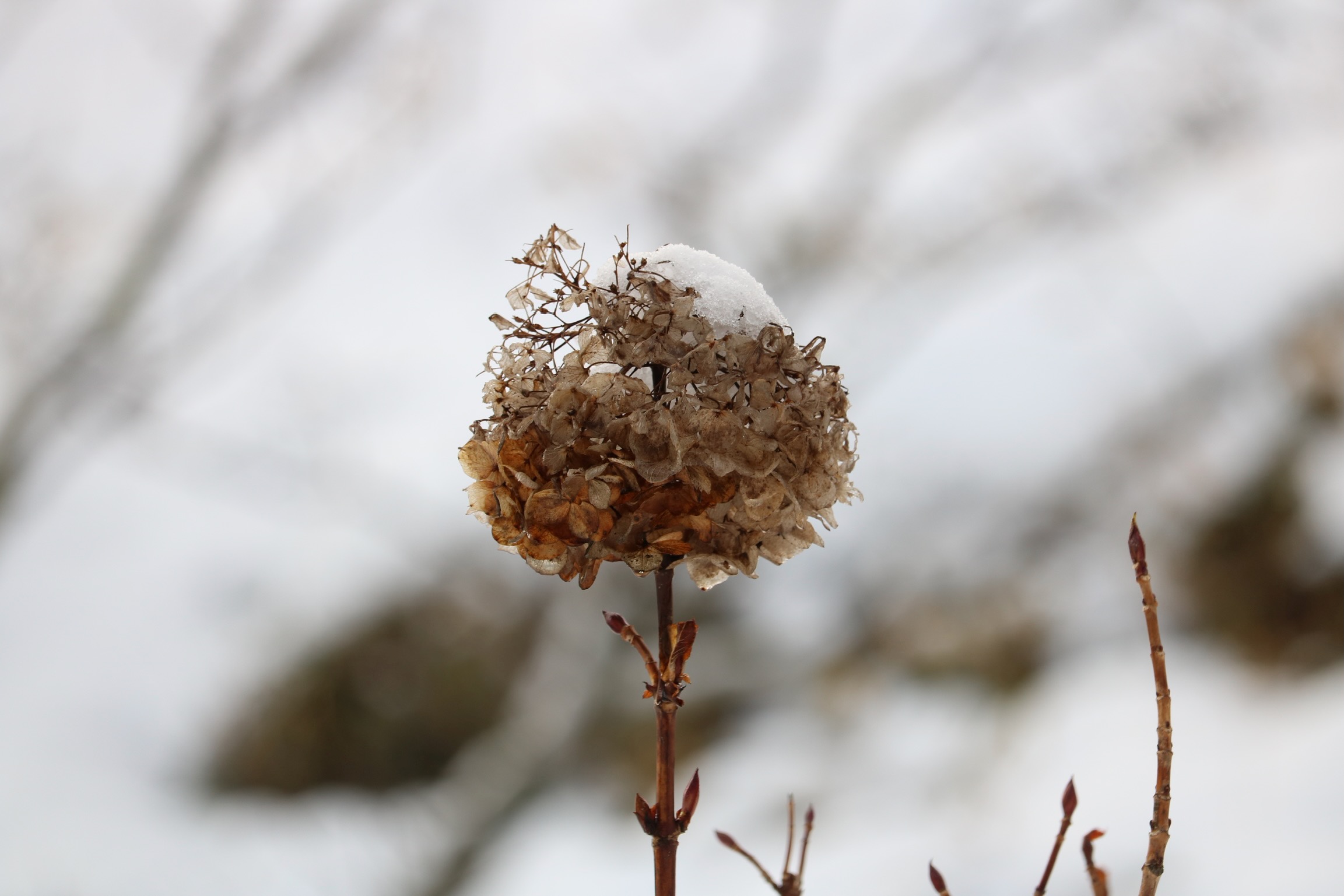 “当たり前”のズレを疑ってみる